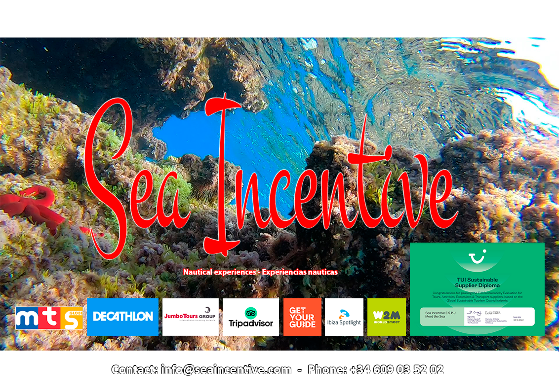 Sea Incentive 2023 group experiences and contact details